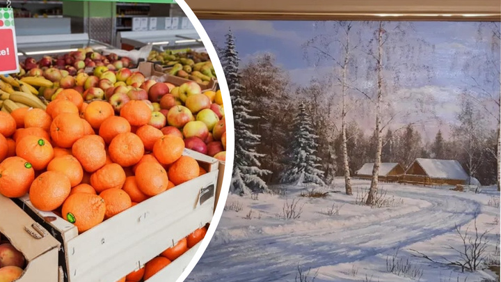 Красноярскому художнику за пейзаж маслом заплатили тонной мандаринов