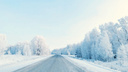 Деревья в Новосибирске покрылись искрящимся снегом — смотрим 10 красивых фотографий