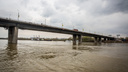 Спасатели сняли с Димитровского моста 33-летнего мужчину