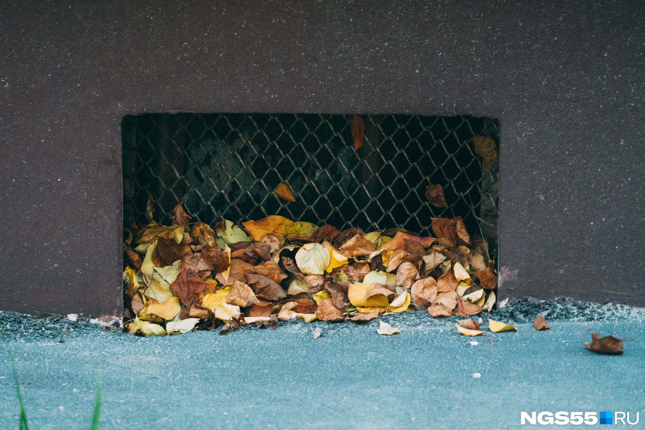 Дворник сгребает опавшую листву к подвальным решёткам, словно здесь они совсем не нужны