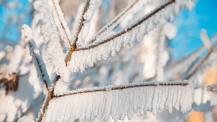 В Кузбасс вернутся морозы: синоптики рассказали о погоде в понедельник