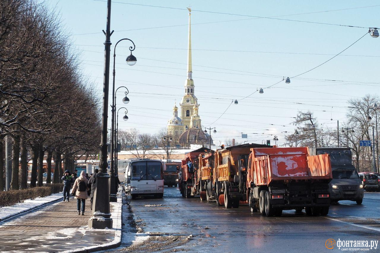 В районе Троицкой площади корреспондент «Фонтанки» видит поставленные рамки, снегоуборочную технику и заборы.&nbsp;<br>