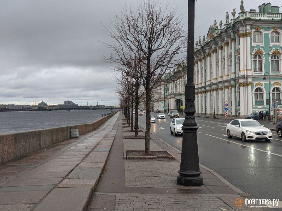 Спб 9 ноября. В Петербурге появились горы Фонтанка. Сквозь 9 СПБ. Показать как выглядит г.Петербург сегодня и деревья люди.