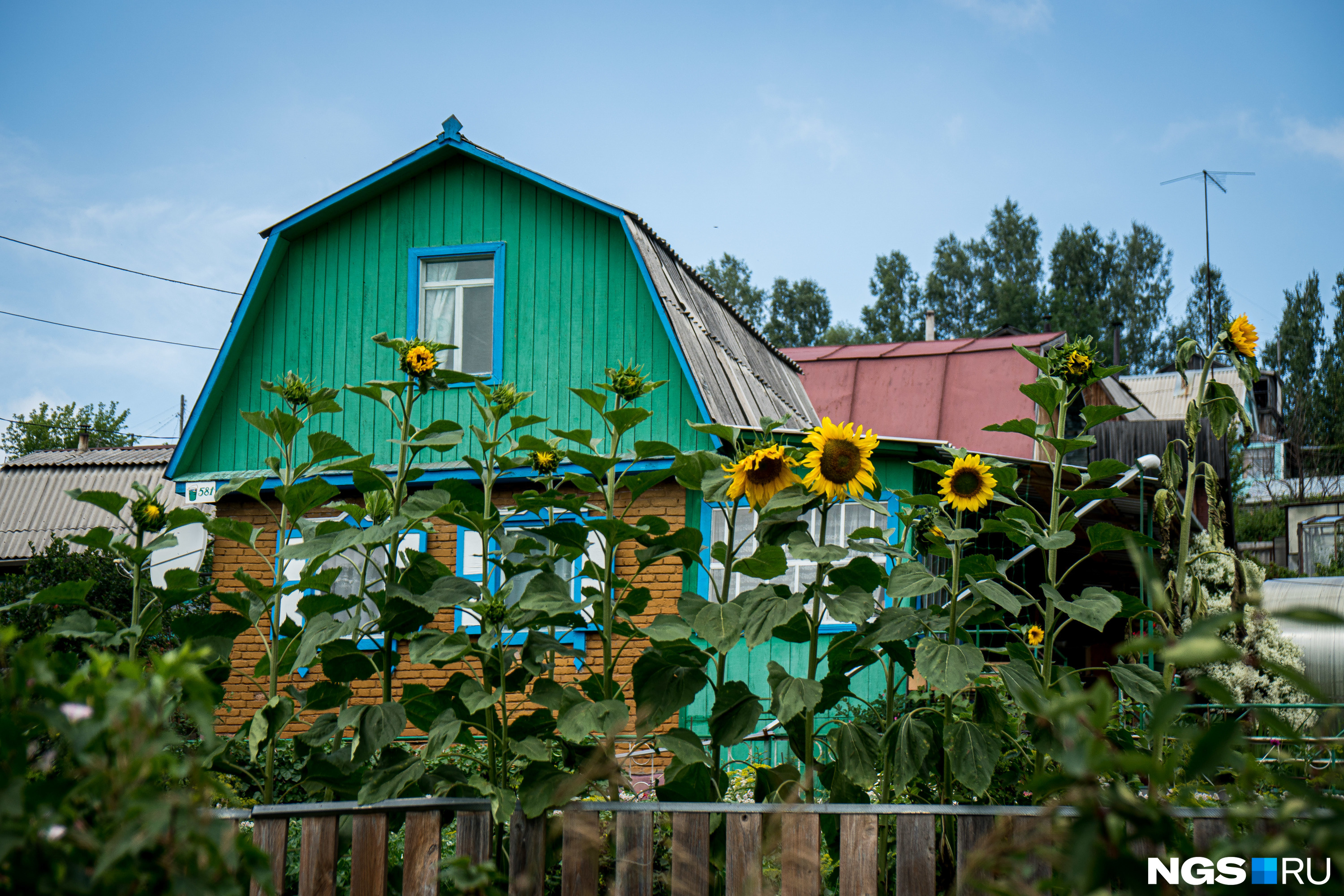 Снт вега 1 карта