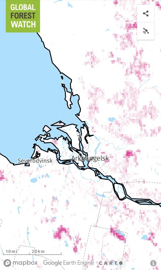 Карта вырубок на сайте Всемирного лесного дозора