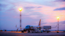 В Челябинске задержали самолет до Москвы из-за несговорчивого пассажира