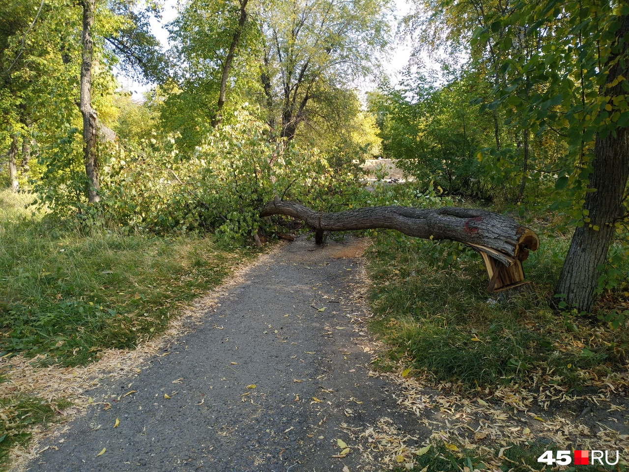 Лунополис курган фото