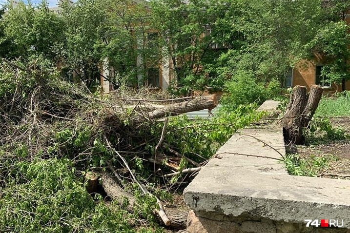 Деревья в районе ДК Строителей снесли в минувшую субботу