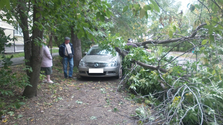 Десятки упавших деревьев, разбитые авто и летающие заборы: последствия урагана в Екатеринбурге