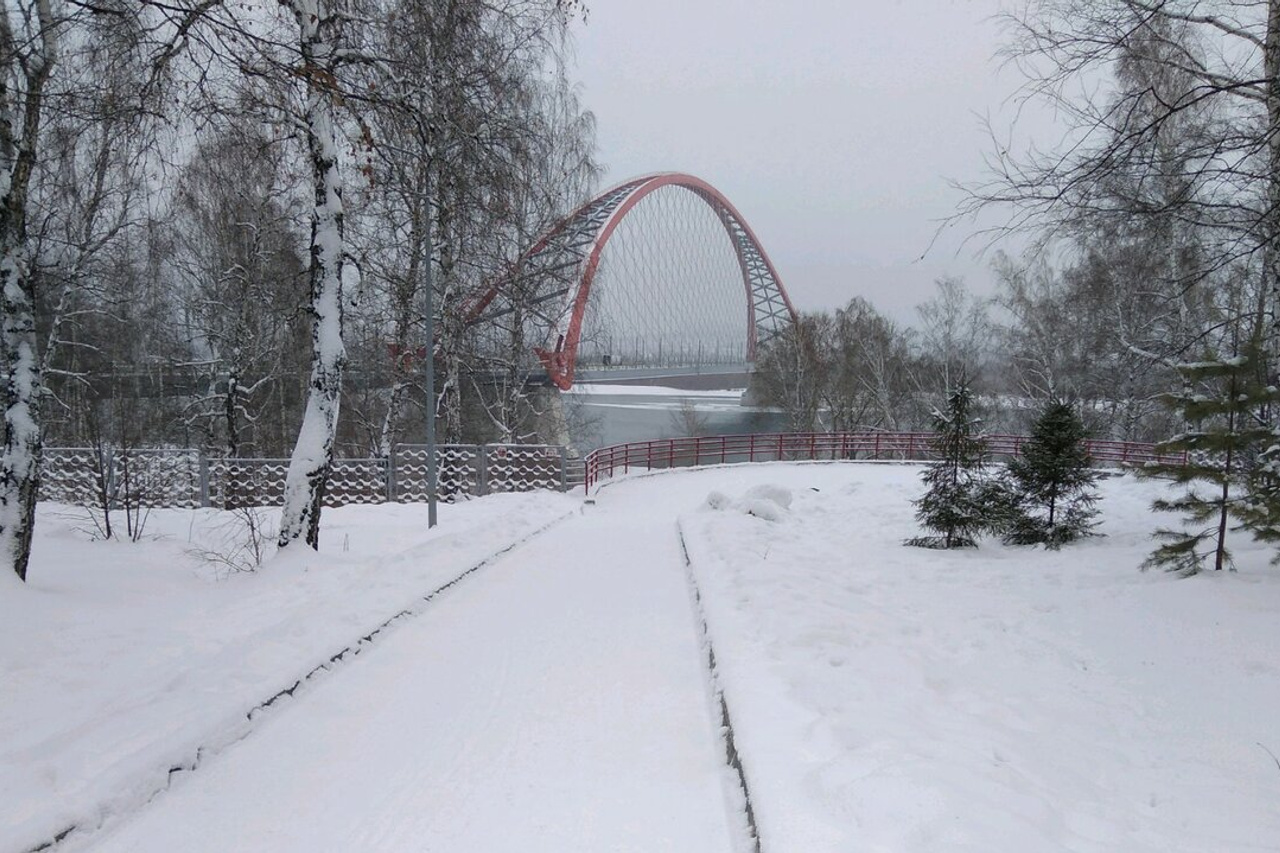 парк бугринская роща