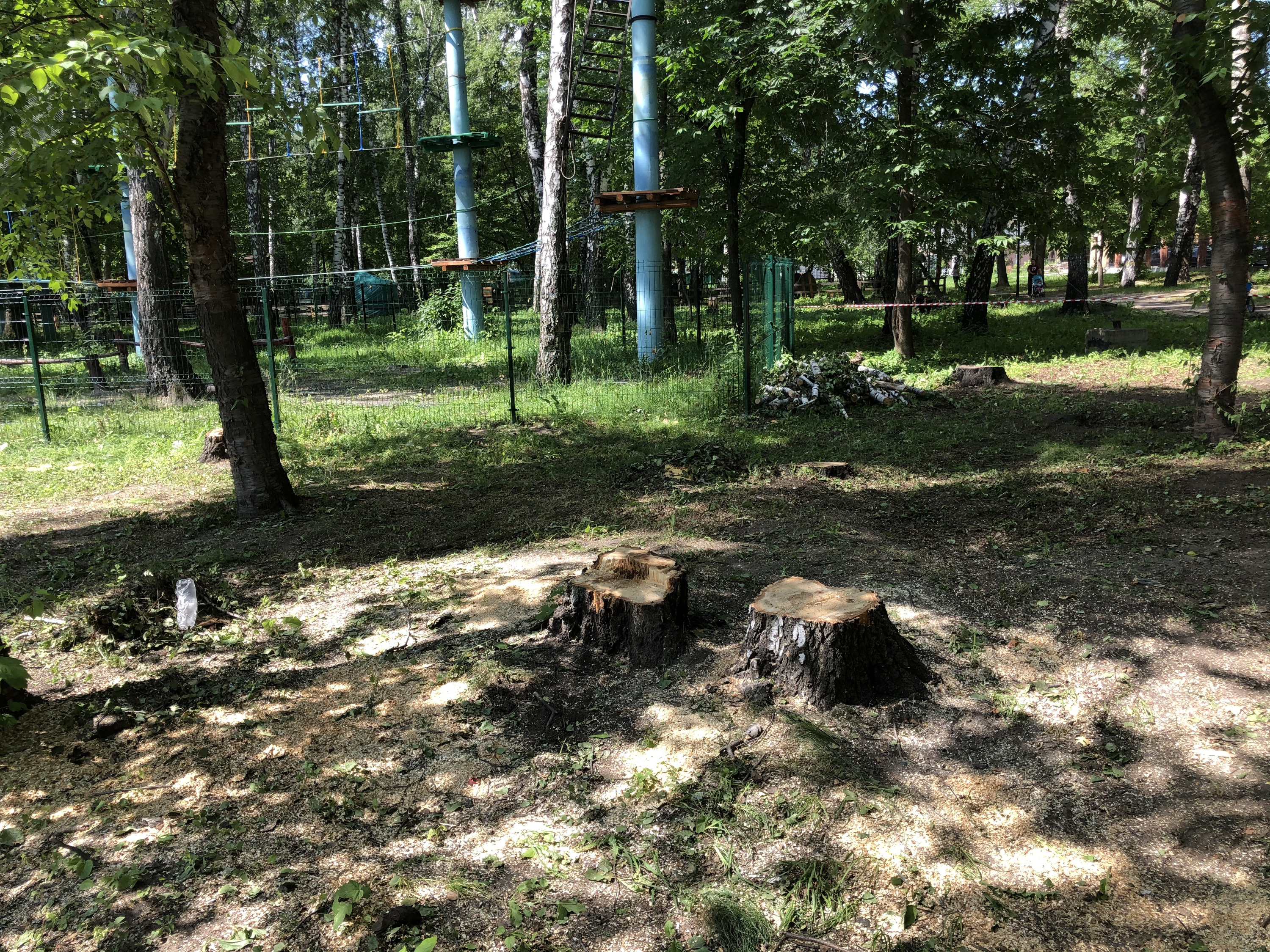 Пилить деревья начали возле верёвочного парка в парке «Берёзовая роща» Пилить деревья начали возле верёвочного парка в парке «Берёзовая роща»