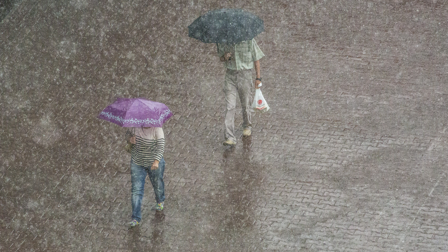Человек из Новосиба шёл по улице весной. Картинки если 1 июня обещают дождь и холод.