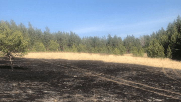 «Желал скорейшего озеленения»: полицейские поймали поджигателей леса в двух районах края