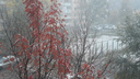 Зима близко: в Самаре выпал первый снег