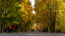 Золотая осень в Самаре: любуемся Ботаническим садом в красках октября
