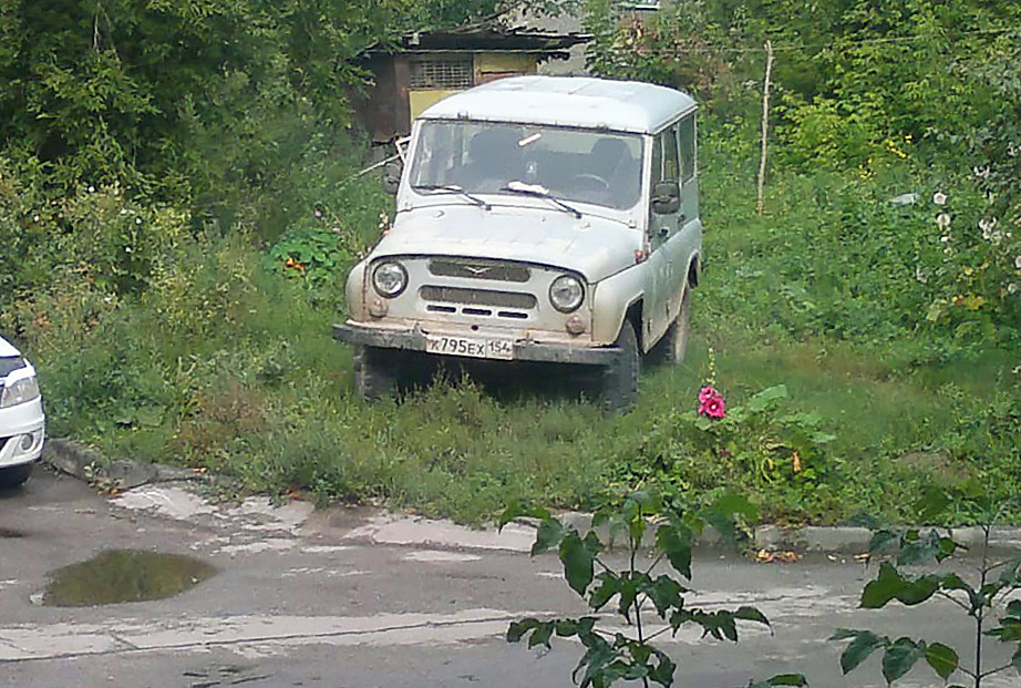 УАЗ на газоне УАЗ на газоне