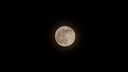 «Холодная Луна» взойдет над Новосибирском — спутник Земли поднимется максимально высоко