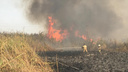 Пожар начался у Соленого озера под Ростовом