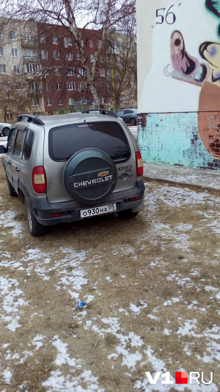 А ведь когда-то здесь росла трава