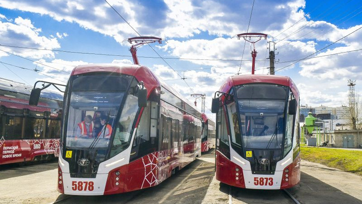 «Львята» на линии: в Перми запустили 7 новых трамваев