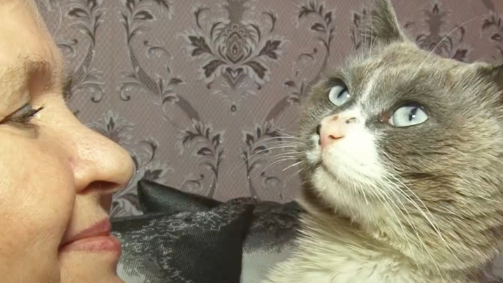 В Енисейске в семью вернулся кот спустя 2 года скитаний
