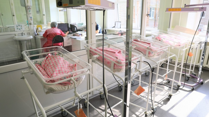 В Красноярском крае разыскивают трех суррогатных матерей за попытку продажи новорожденных в Китай