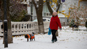 В Ростове выпал первый снег. Фоторепортаж 161.RU c улиц города