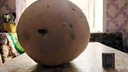 Сибиряк нашёл в лесу очень странный гриб размером с баскетбольный мяч (он съедобный!)