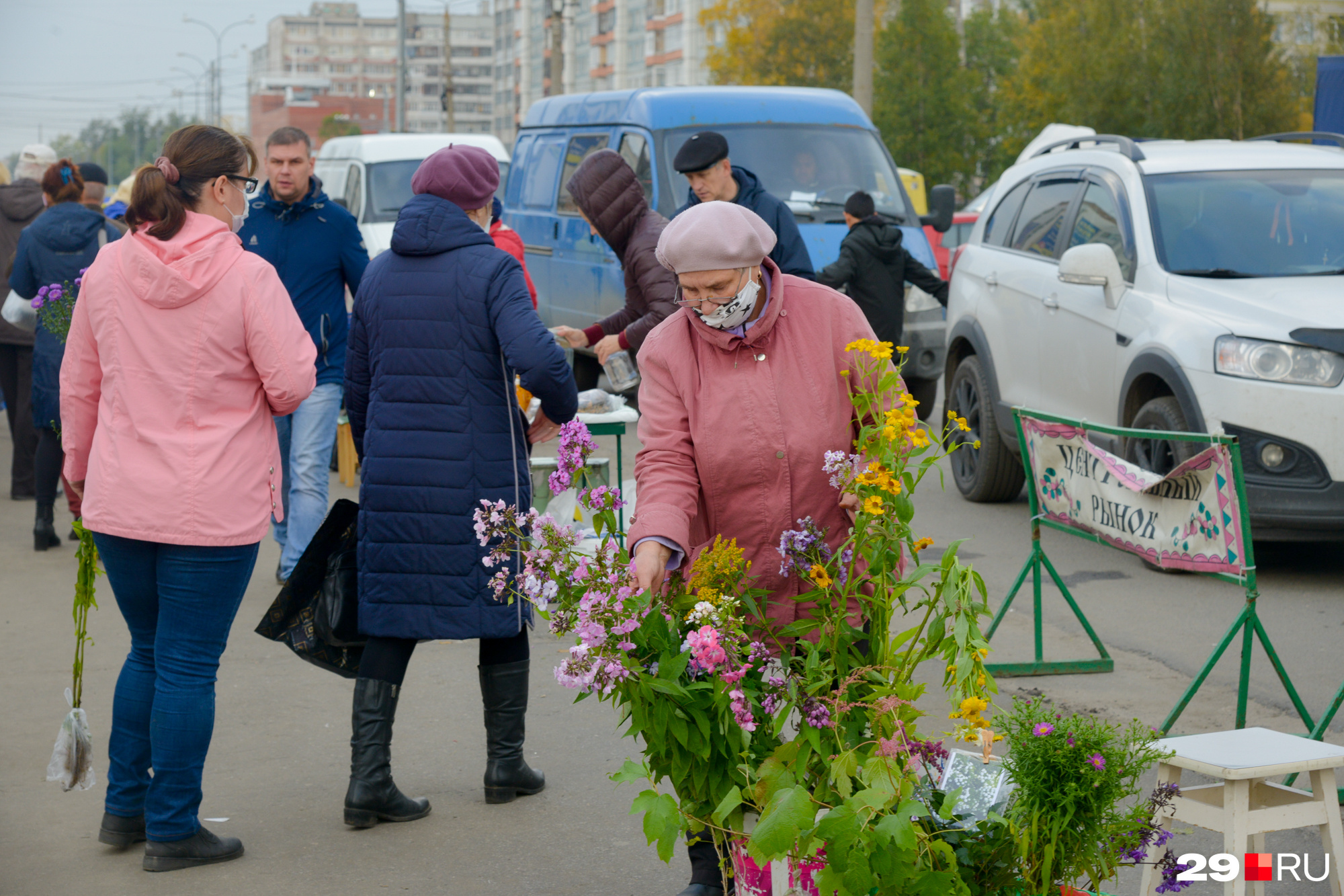 С погодой повезло, на солнце площадки с растениями напоминают о тёплом лете С погодой повезло, на солнце площадки с растениями напоминают о тёплом лете