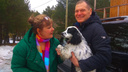 «Оглянулся и ушёл»: пёс, найденный Андреем Барышевым, остаётся жить с депутатом