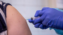 Патент на вакцину от оспы обезьян получил новосибирский центр «Вектор»