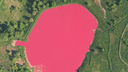 «Гигантский леденец»: розовое озеро под Самарой изменило форму