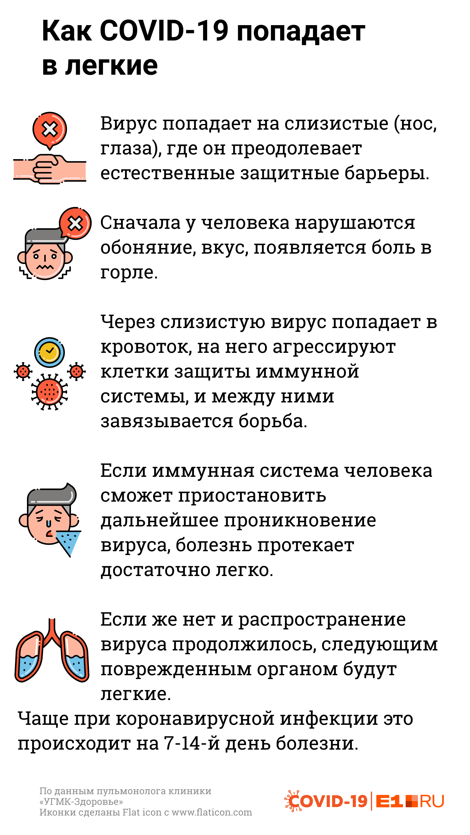 Как поражаются легкие во время коронавируса и как их восстанавливать.  Екатеринбург - 3 июля 2020 - e1.ru