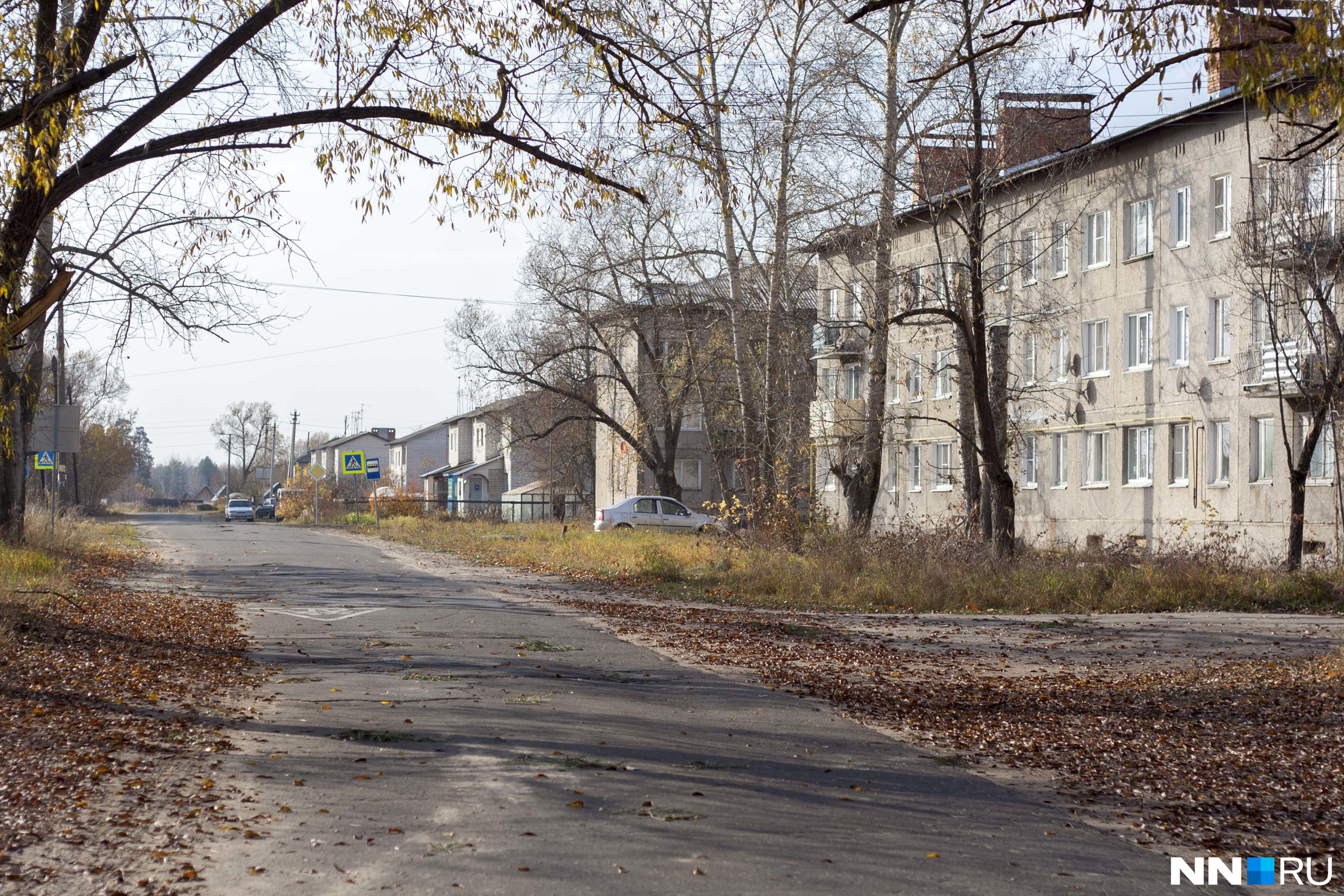 Погода в большеорловском поселке