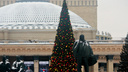 На площади Ленина установили елку и зажгли <nobr class="_">гирлянды —</nobr> видео с новогодним настроением