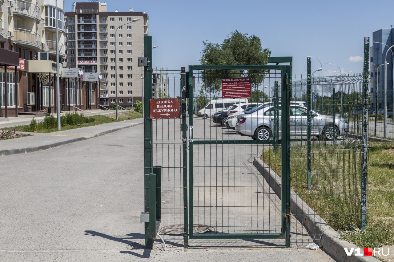 забор между дачными участками. 5 3450х2000мм оцинкованная. бордюры для грядок из шифера. забор для огорода. ограда для огорода.