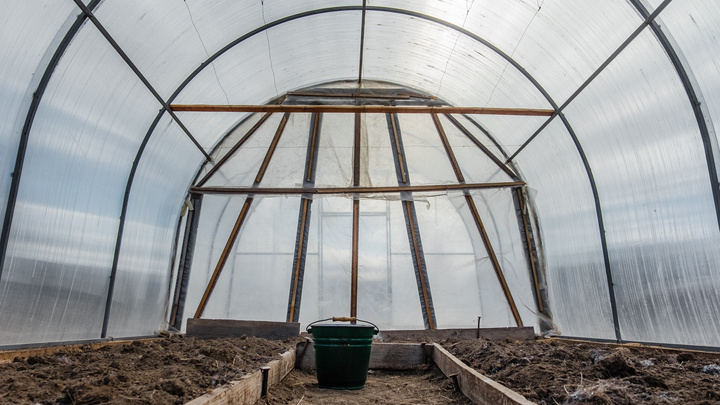 Под Пермью построят тепличный комплекс для выращивания огурцов, томатов и зелени