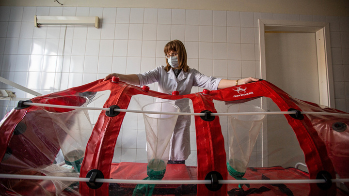 В Кузбассе за сутки коронавирусом заболели еще 174 человека