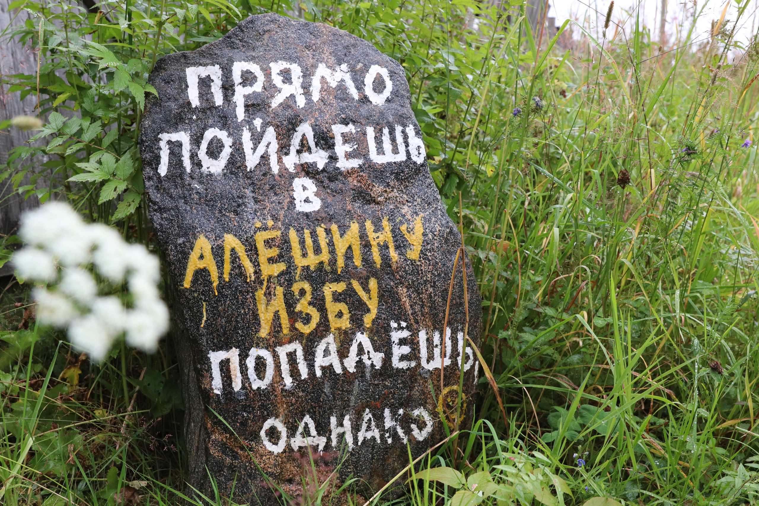 Указатель в Карпогорах Указатель в Карпогорах
