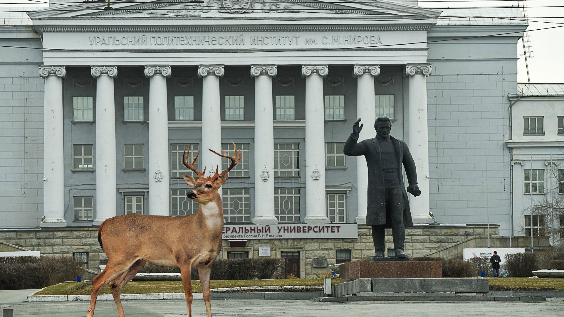 Рысь на 8 Марта и кабаны на Ленина. Как будет выглядеть Екатеринбург, когда превратится в Зверополис