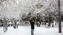 В Новосибирске за день резко потеплеет на 28 градусов