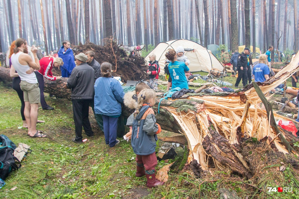 Однако в 2014-м на берегу озера Ильмень произошёл ураган. За семь минут стихия повалила сотни деревьев и унесла жизни трёх человек, в том числе двух детей. Ещё 12 получили травмы Однако в 2014-м на берегу озера Ильмень произошёл ураган. За семь минут стихия повалила сотни деревьев и унесла жизни трёх человек, в том числе двух детей. Ещё 12 получили травмы