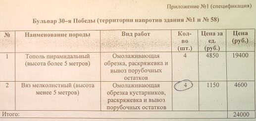 Восемь деревьев оценили в 24 тысячи рублей