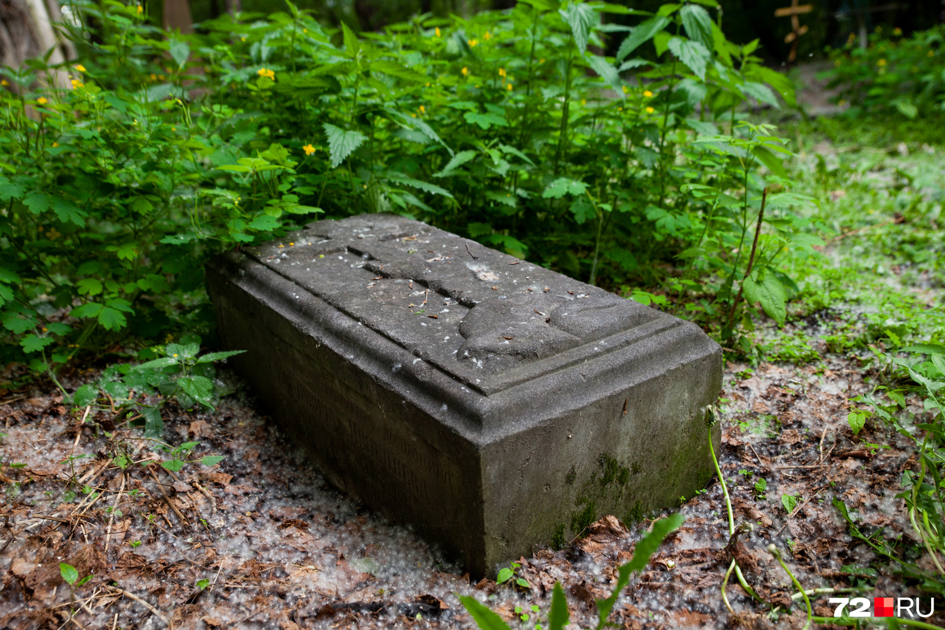 Потомки похороненных на Текутьевском кладбище уже не ходят на такие могилы