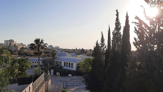Наши в Израиле: как страна преждевременно вышла с карантина и почти вернулась в изоляцию