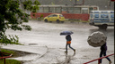 Синоптики переписали прогноз: когда в центре России перестанут лить дожди