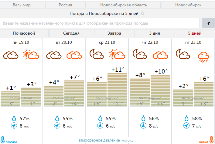 Прогноз погоды в новосибирске почасовой на 3. Погода в Новосибирске на 10 дней. Погода в Новосибирске сегодня. НГС погода. НГС погода в Новосибирске.