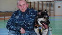 «Он принял удар на себя»: в Ярославле собака спасла жизнь хозяина. Фото