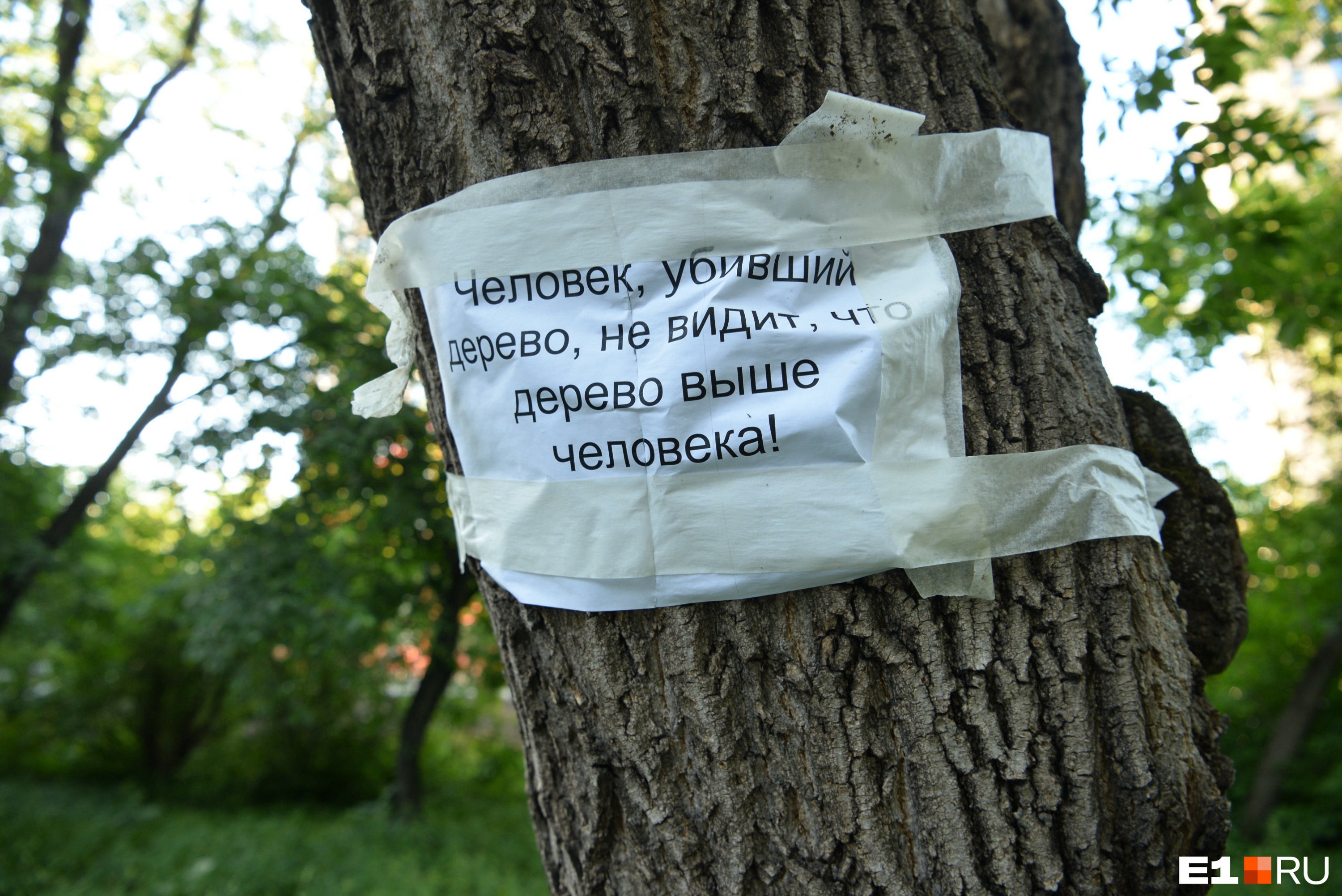 На деревьях стали появляться объявления с философскими рассуждениями