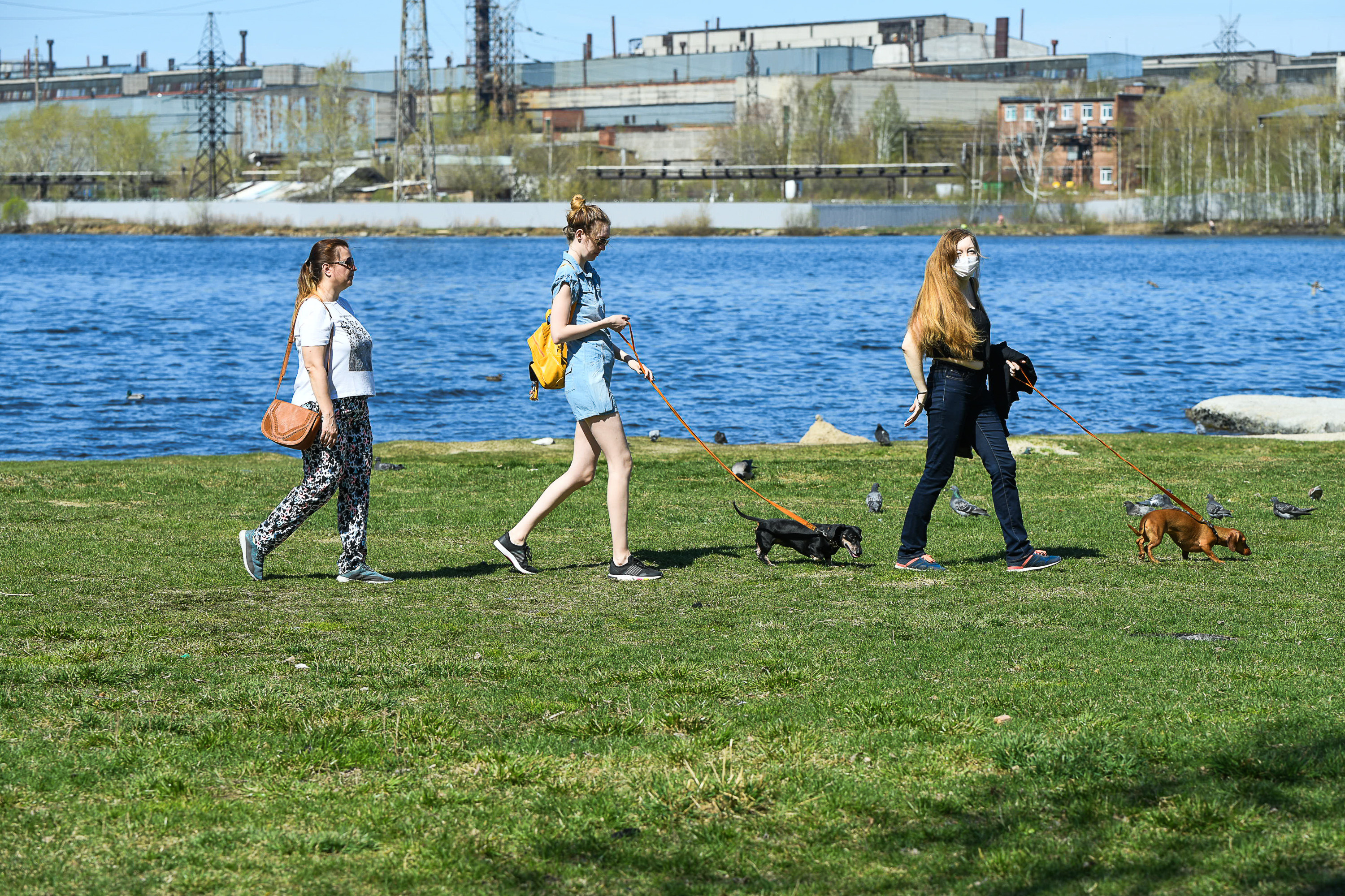 Женщина с детьми гуляет в лесу. Несовершеннолетняя гуляет. Разрешат ли прогулки. Прогулка по красной площади. Парки москвы для прогулки с собакой.